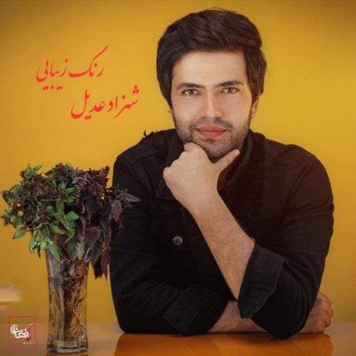  شهزاد عدیل  رنگ زیبایی